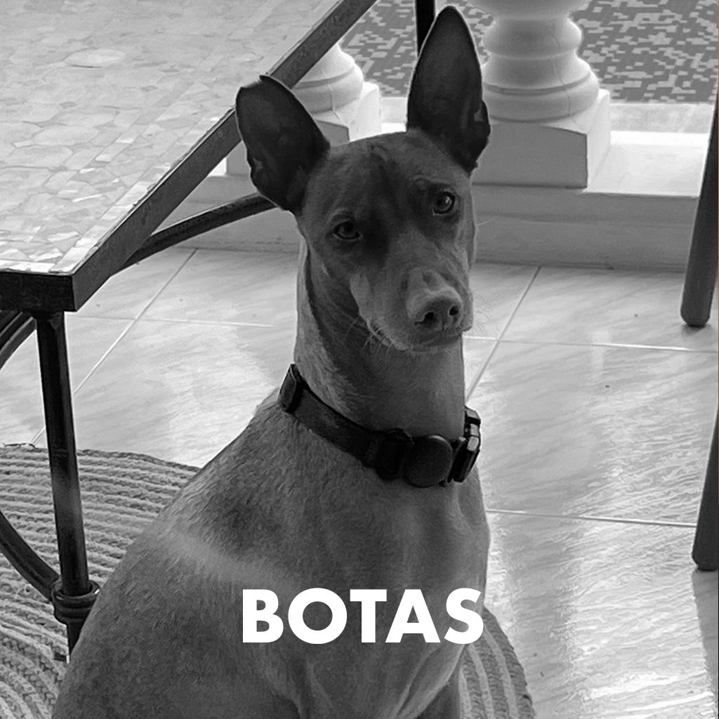 Botas zw