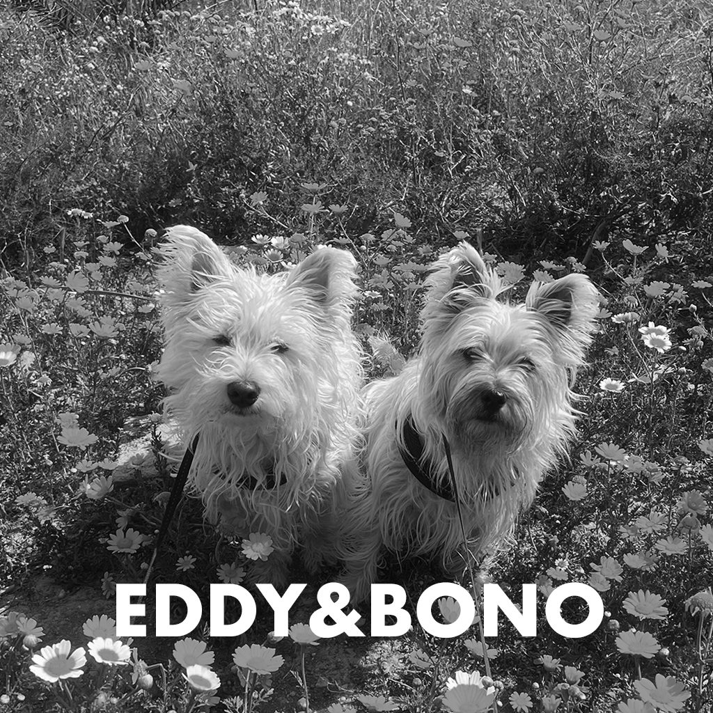 Eddy en Bono zw